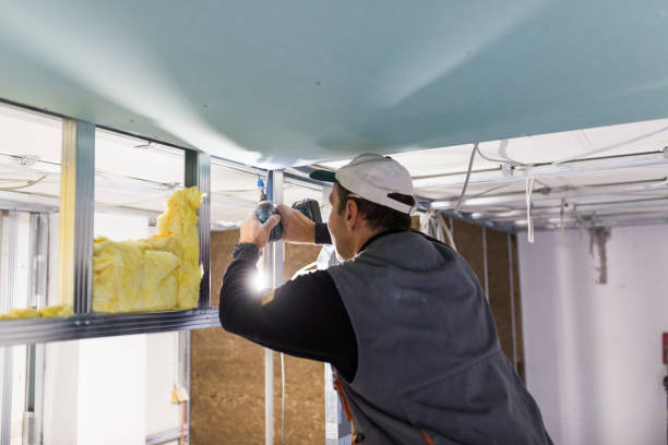 Best Insulation Maintenance and Repair in Cactus Flats, AZ