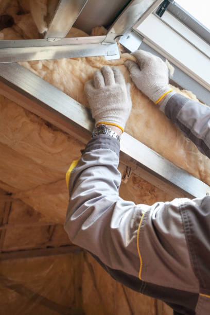 Best Commercial Insulation in Cactus Flats, AZ