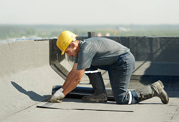 Best Specialty Insulation in Cactus Flats, AZ