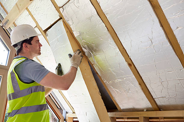 Best Insulation Installation Services in Cactus Flats, AZ