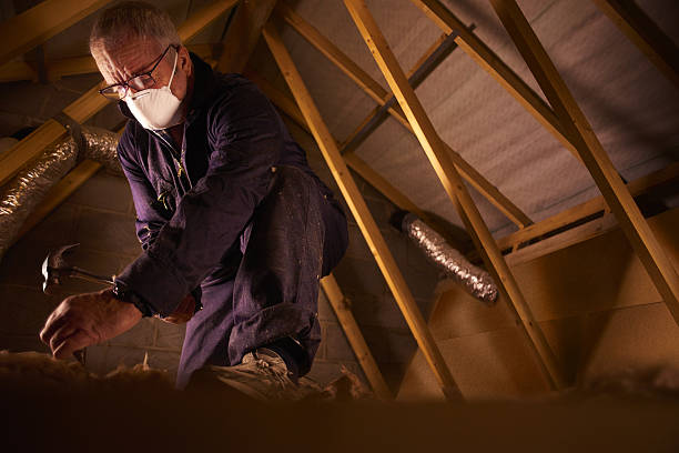Best Insulation for Specific Applications in Cactus Flats, AZ