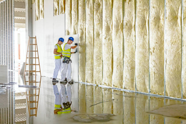 Best Types of Insulation in Cactus Flats, AZ